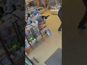 Read more about the article Two bandits fake seizure to steal puppies from store