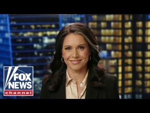 Read more about the article Tulsi Gabbard on NSA chatrooms: This is an ‘egregious violation of trust’