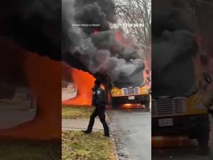 Read more about the article Driver saves 15 kids from burning bus