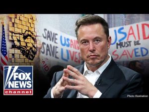 Read more about the article DOGE DISCOVERIES: Musk takes hammer to ‘insane’ government spending and USAID