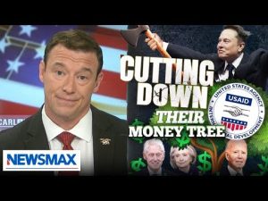 Read more about the article Carl Higbie: Elon’s putting an end to Democrats using USAID to pocket tax dollars