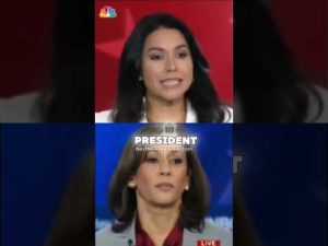 Read more about the article Tulsi Gabbard Destroyed Kamala Harris During This Debate