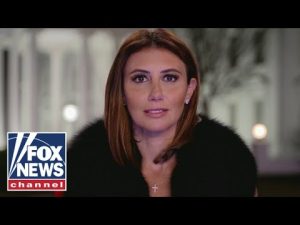 Read more about the article Alina Habba: Trump is protecting our little girls
