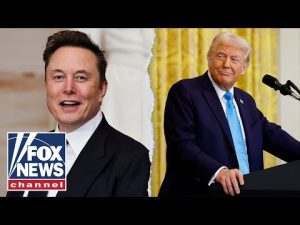 Read more about the article Elon Musk finding fraud and abuse: President Trump