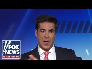 Read more about the article Watters says Dems have been ‘losing’ every day since DOGE