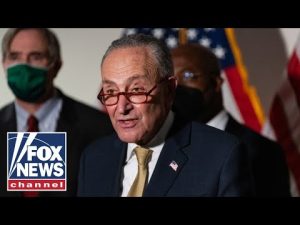 Read more about the article ‘SCHUMER SHUTDOWN’: GOP senator roasts Dems’ budget ‘tantrum’