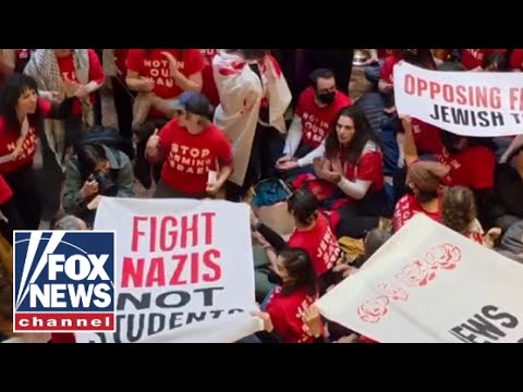 You are currently viewing NYPD arrested 98 protesters at Trump Tower, police chief says