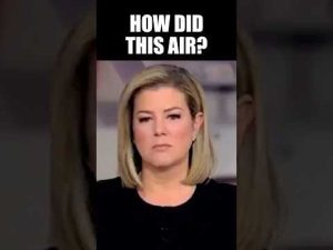 Read more about the article CNN Host Shocked by How Pathetic Gov’t Worker Is On-Air