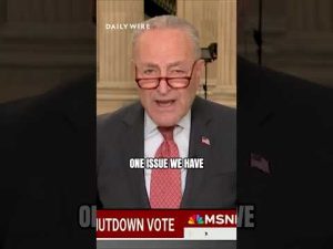 Read more about the article Democrats are beginning to CURSE in interviews!?