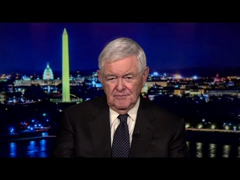 You are currently viewing This is a ‘fundamental assault on constitutional order’: Newt Gingrich