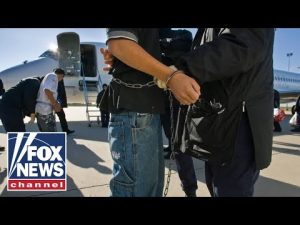 Read more about the article ‘They think they have infinite power’: GOP Rep. Burchett rips federal judge for halting deportations