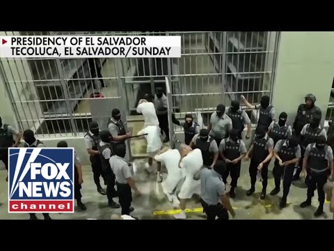 You are currently viewing Judge demands answers from Trump admin on deportation flights