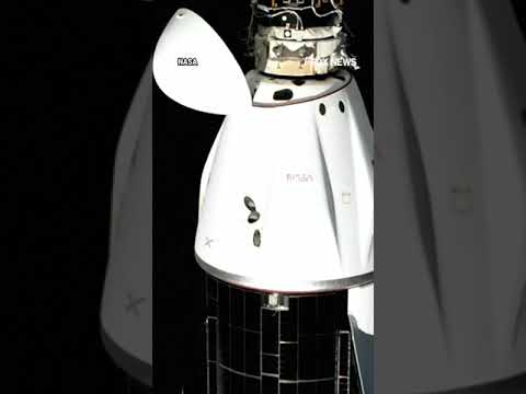 You are currently viewing Stranded NASA astronauts finally earthbound thanks to SpaceX