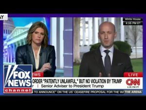 Read more about the article CNN just got a civics lesson: McEnany