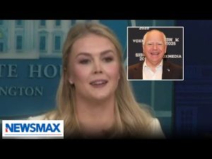 Read more about the article Walz is living a sad existence: Karoline Leavitt responds to NEWSMAX question