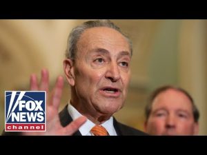 Read more about the article The Democrats’ identity crisis | FOX Across America