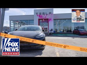 Read more about the article LIVE: The alarming rise in violent Tesla vandalism | Brian Kilmeade Show
