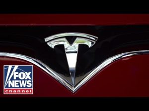 Read more about the article Telsa attacks show the left’s insanity knows no bounds, critics charge