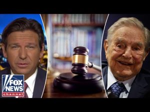 Read more about the article Ron DeSantis details taking out Soros-backed ‘menace’ prosecutors in FL