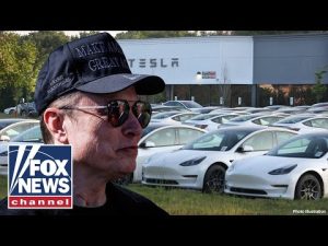Read more about the article Anti-Elon Musk protesters prepare for global ‘Tesla takedown’ day