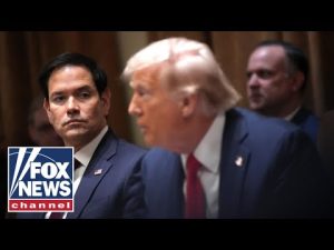 Read more about the article Trump and Rubio are enforcing American law, legal expert says