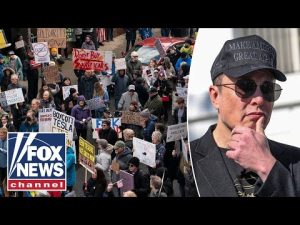 Read more about the article BURN A TESLA, SAVE DEMOCRACY?: Anti-Musk protestors speak out on ‘Day of Action’ #tesla  #elonmusk