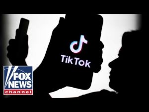 Read more about the article ‘LEGAL LIABILITY’: TikTok challenges linger over Chinese ownership