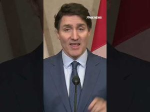 Read more about the article Trudeau challenges Trump, calls tariffs ‘very dumb’