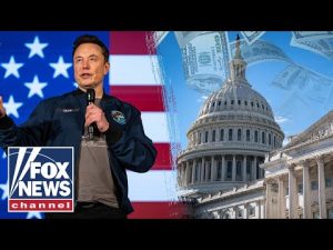Read more about the article We don’t want DOGE to slow down, top GOP rep says