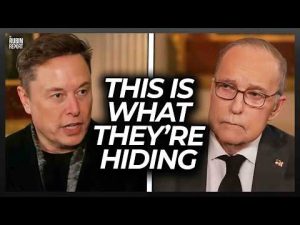 Read more about the article Elon Musk Exposes Why Dems Don’t Want ‘Fraud and Waste’ to Be Stopped