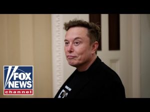 Read more about the article MAKING SACRIFICES: Musk’s role in DOGE coming at a cost