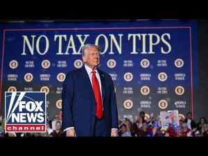 Read more about the article ‘TRUMPENOMICS TO THE RESCUE’: Peter Navarro touts bullish economic scenario