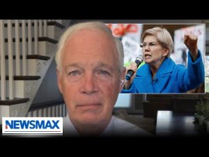 Read more about the article Dems will pay ‘political price’ for shutdown: Sen. Ron Johnson | Wake Up America