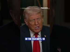 Read more about the article Could Trump’s tariffs mark the end of one of America’s taxes? The president shares his vision.