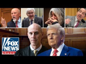 Read more about the article GOP VS ‘ACTIVIST’ JUDGES: Battle over bench powers escalates in heated hearing on Trump agenda