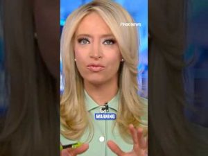 Read more about the article Kayleigh McEnany warns GOP of ‘low-hanging fruit’ for Dems #wisconsin #supremecourt #trump #elonmusk