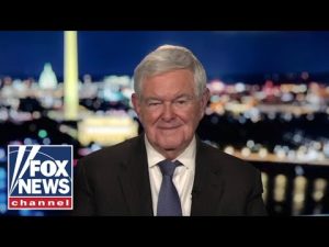 Read more about the article Newt Gingrich: Democrats have gone off the deep end