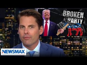 Read more about the article Proof that Trump has officially ‘broken’ the Democratic party: Rob Finnerty