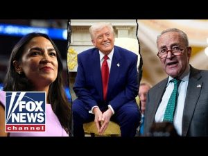 Read more about the article ‘STOP TRYING TO BE COOL’: Dems brutally mocked for latest anti-Trump stunts