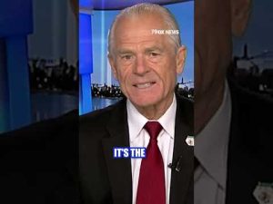 Read more about the article Peter Navarro: Foreign countries have ‘systematically’ higher tariffs on US