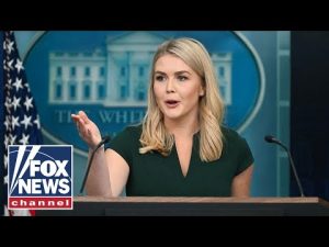 Read more about the article WATCH LIVE: Karoline Leavitt holds a White House briefing
