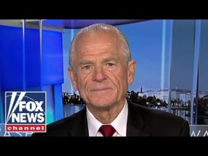 Read more about the article ‘DESIGNED’ TO CHEAT US: Navarro warns international trade system is rigged