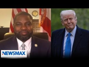Read more about the article Trump is doing what he campaigned on: Rep. Donalds