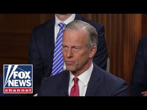 Read more about the article Senate Majority Leader Thune: The stakes are too high