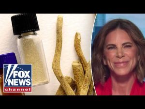 Read more about the article ‘PRETTY INCREDIBLE’: Jillian Michaels on benefits of ibogaine