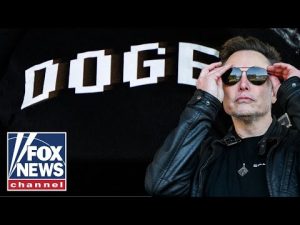 Read more about the article NO DODGING DOGE: Elon Musk and team pull back the curtain