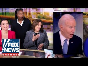 Read more about the article Here’s what Democrats couldn’t ‘grasp’ about Kamala Harris’ defeat